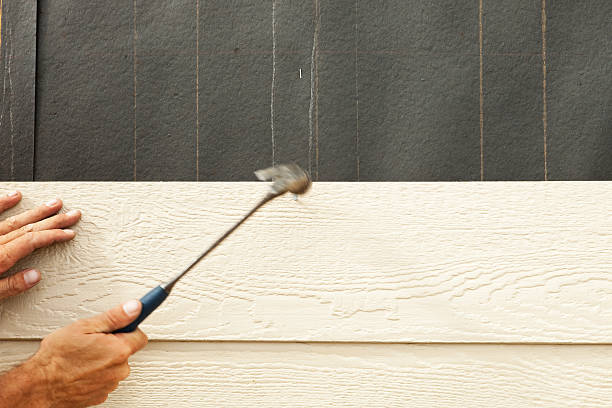 Best Custom Trim and Detailing for Siding  in , AL